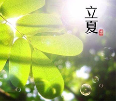 据说，立夏宜吃擂椒拌饭！