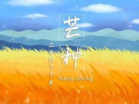 时雨及芒种，炅爸爸忙不停！