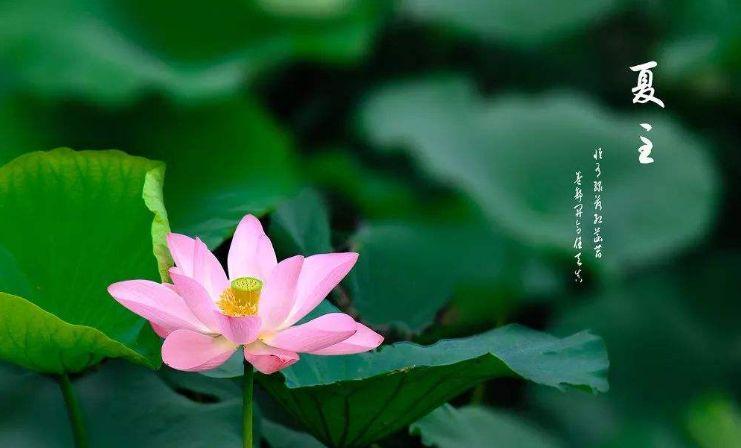 夏天来了，正好搞事业！