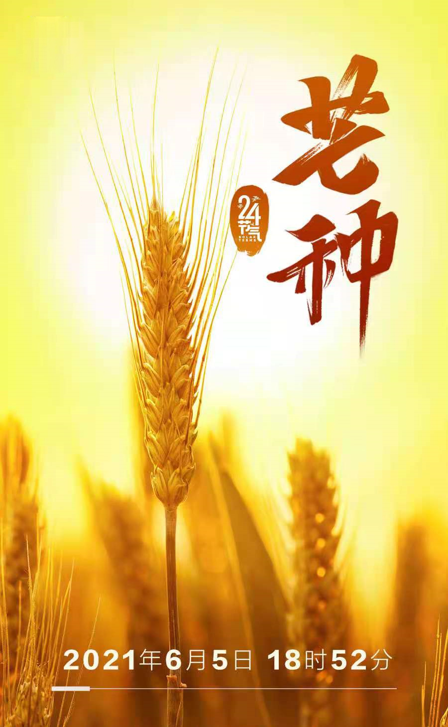时雨及芒种，炅爸爸忙不停！(图5)